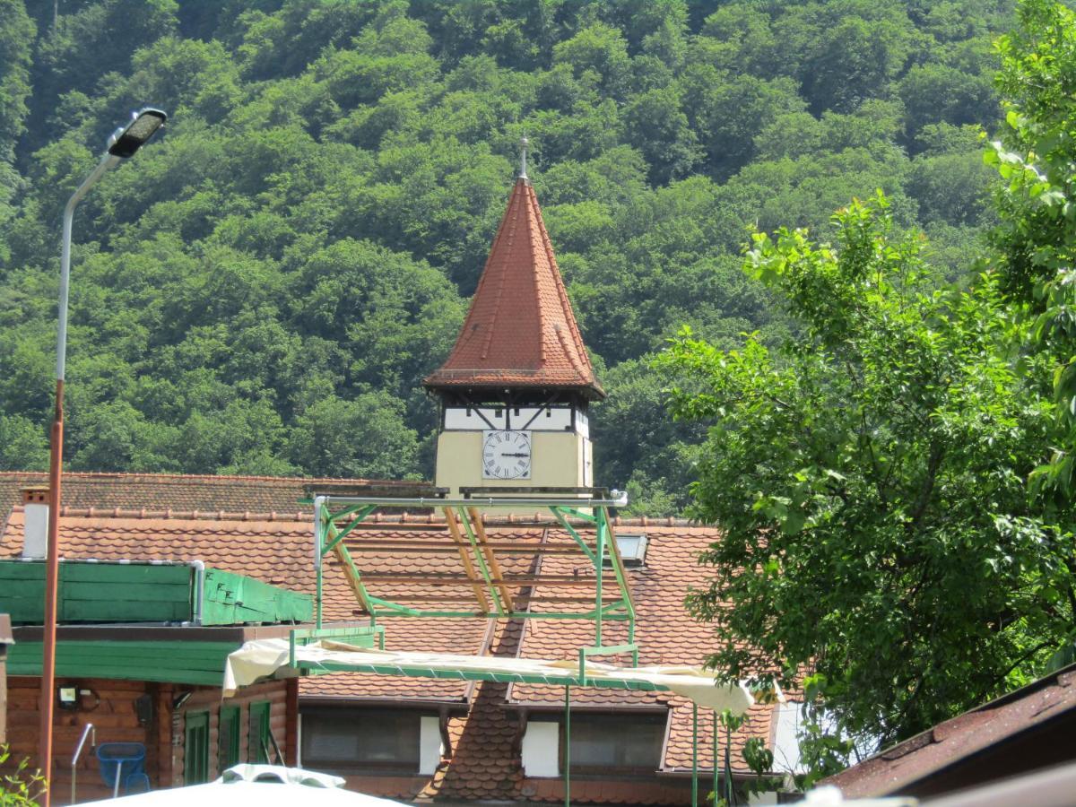 Pensiunea Gasthof Michelsberg Экстерьер фото